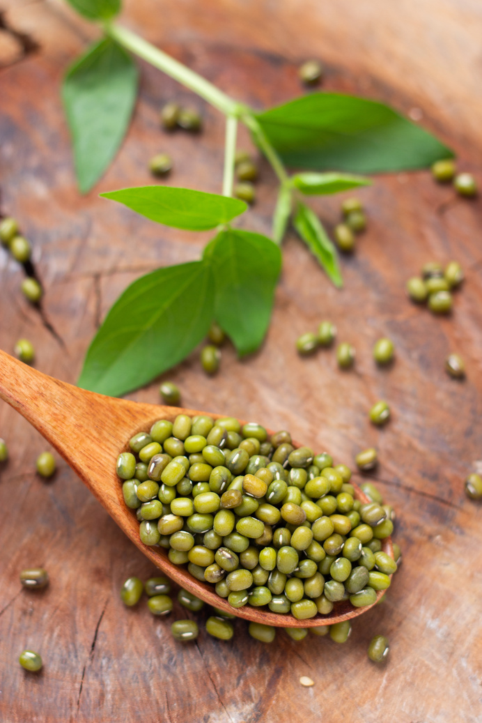 Fresh mung beans with a wooden spoon